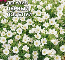 Легузия Первый поцелуй