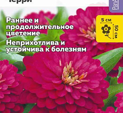 Цинния Дабл Захара Черри