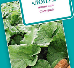 Лопух японский Самурай