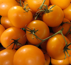 Томат Мармеладный