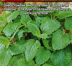 Мелисса лекарственная Лимонный бальзам