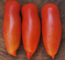 Томат Хохлома