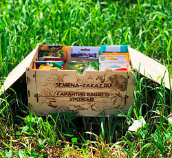 Органайзер для хранения семян сборный