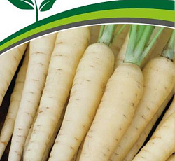 Морковь Вайт Сатин F1