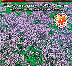Тимьян (чабрец) Богородская трава