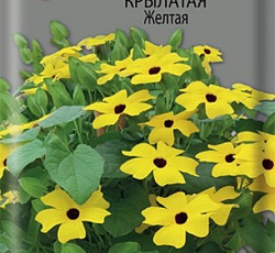 Тунбергия крылатая Желтая