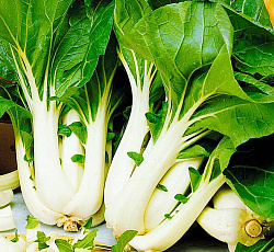 Капуста китайская Пак Чой