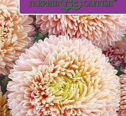 Астра Леди Корал Бежевая