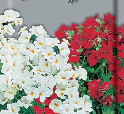 Немезия Дуэт