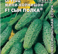 Огурец Сын полка F1