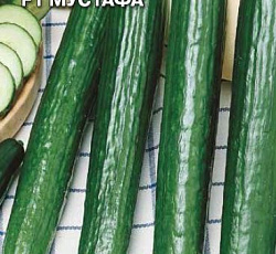 Огурец Мустафа F1