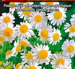 Ромашка аптечная Романов цвет