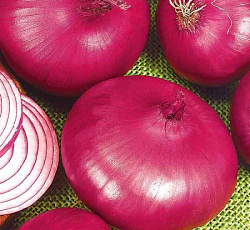 Лук репчатый Ялтинский красный