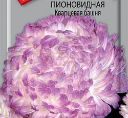 Астра Пионовидная Кварцевая башня