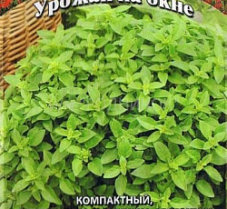 Базилик Василиск