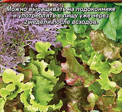 Бэби салат Французская смесь