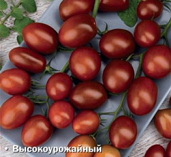 Томат Шоколадная гроздь F1