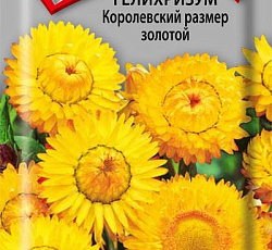 Гелихризум Королевский размер золотой