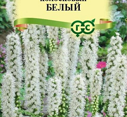 Лиатрис Белый