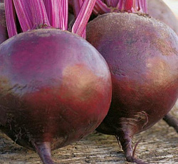 Свекла Боярыня