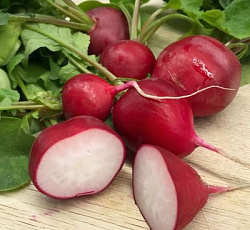 Редис Молния F1