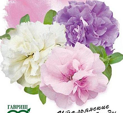 Петуния махровая крупноцветковая Аллегра F1