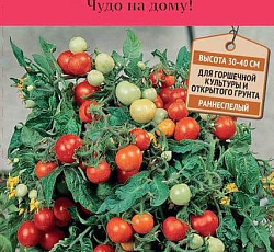 Томат Беби