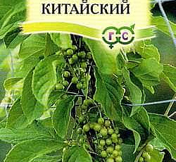 Лимонник китайский Восторг