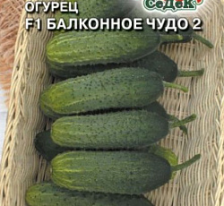 Огурец Балконное чудо 2 F1
