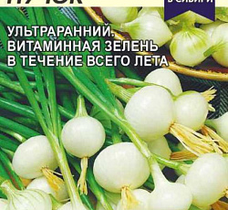 Лук на зелень и мини-головку Ранний пучок