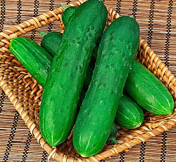 Огурец Майский F1