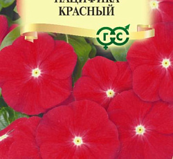 Катарантус Пацифика Красный