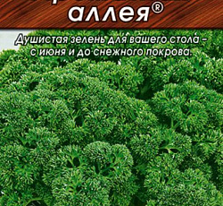 Петрушка кудрявая Ароматная аллея
