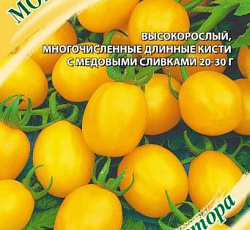 Томат Монисто янтарное