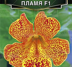 Мимулюс гибридный Желтое пламя F1