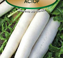 Дайкон Астор