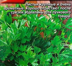 Петрушка листовая Карнавал