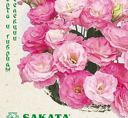 Эустома (лизиантус) Мариачи мистический розовый F1