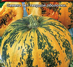 Тыква твердокорая Голосемянка