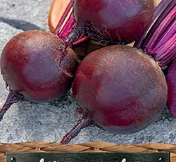 Свекла Ред Клауд F1