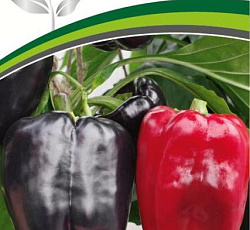 Перец сладкий Маврас F1