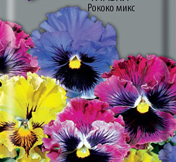 Анютины глазки Рококо микс