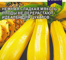 Кабачок Ананасный