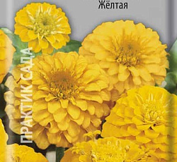 Цинния лиллипут Желтая