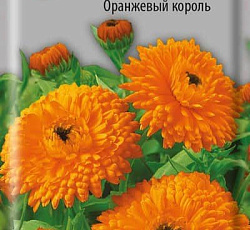 Календула Махровая Оранжевый король