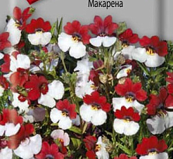 Немезия Макарена