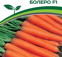 Морковь Болеро F1