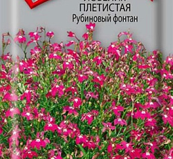 Лобелия Плетистая Рубиновый фонтан