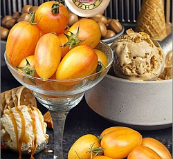 Томат Крем-брюле