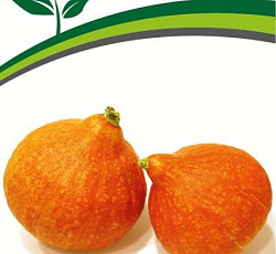 Тыква Каприз F1